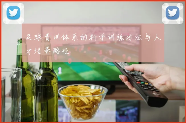 足球青训体系的科学训练方法与人才培养路径